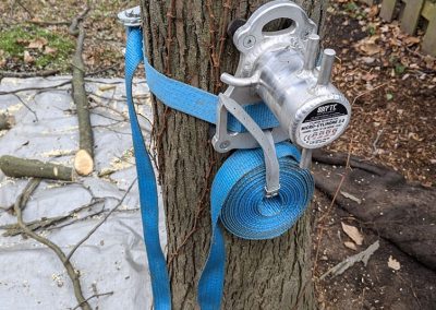 Coupe de branche d'arbre - Service d'abattage d'arbre à Longueil et ses environs - Arbreiz Élagage